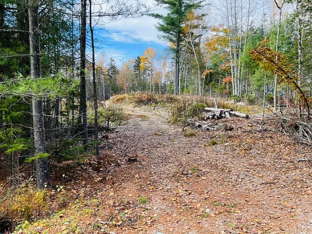 $49,900 | Lot 25 Pinetree Road, Brewer, ME 04412