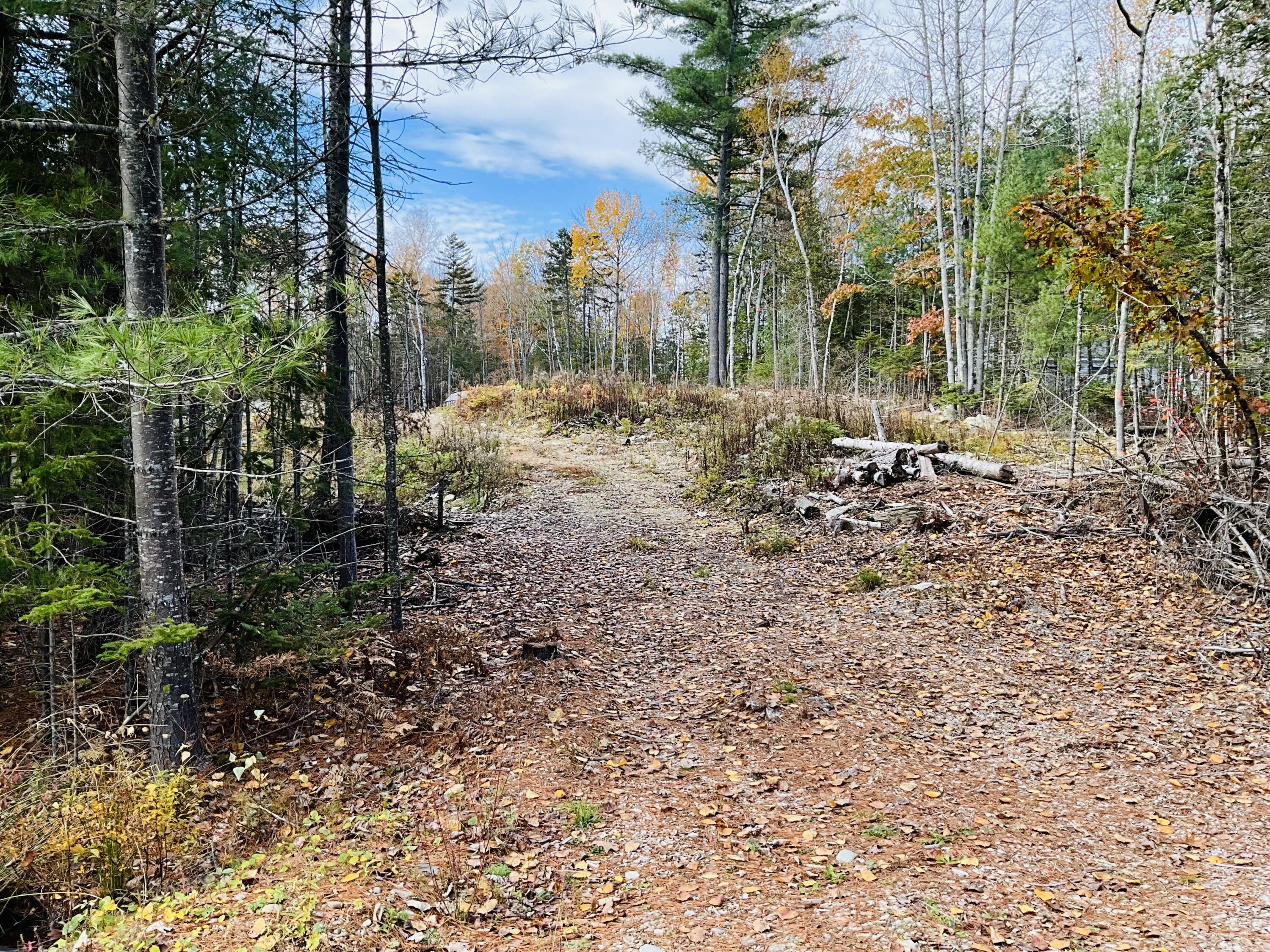 Lot 25 Pinetree Road Brewer, ME 04412 - Photo 2 of 12 Land pic 2