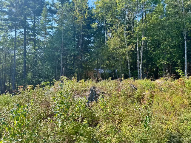 $49,900 | Lot 25 Pinetree Road, Brewer, ME 04412