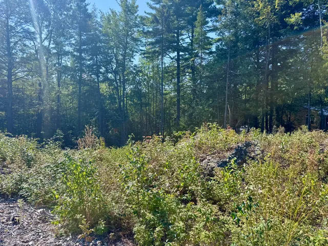 $49,900 | Lot 25 Pinetree Road, Brewer, ME 04412