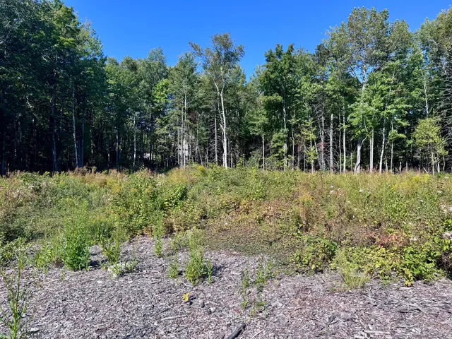 $49,900 | Lot 25 Pinetree Road, Brewer, ME 04412