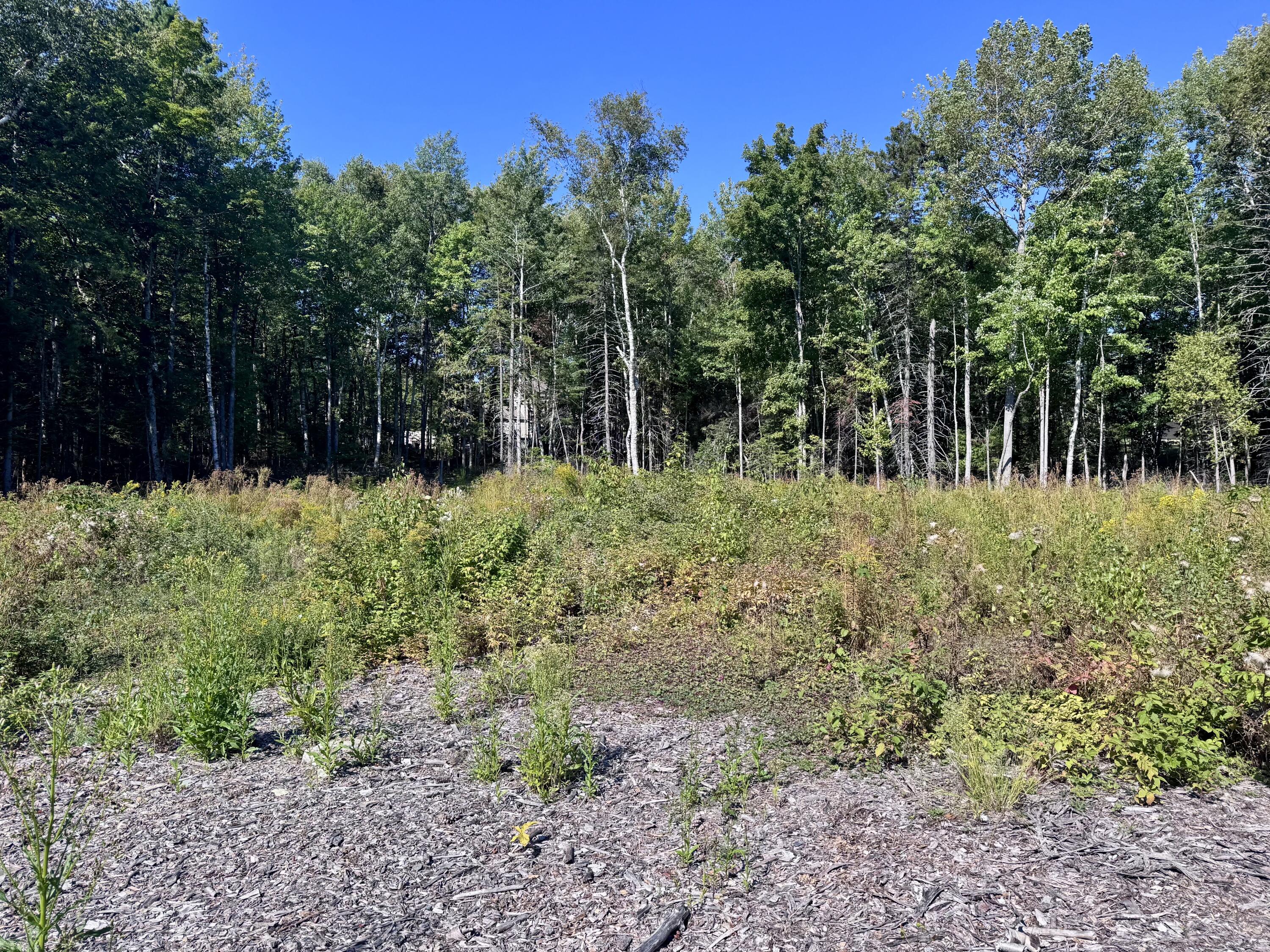 Lot 25 Pinetree Road Brewer, ME 04412 - Photo 9 of 12 FullSizeRender (2)