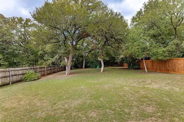 a view of a backyard with a tree