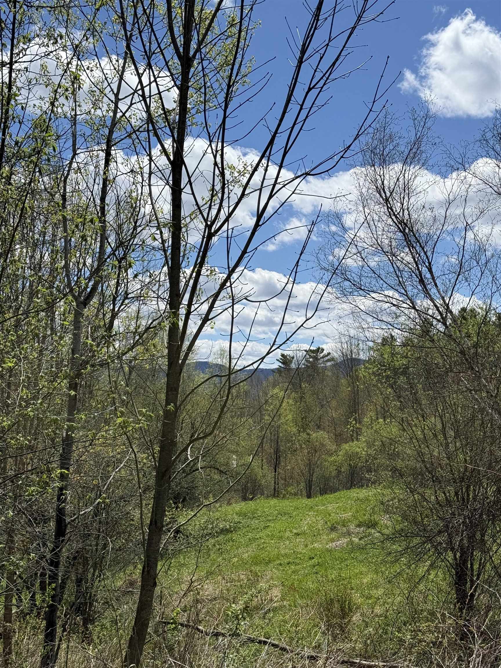 2527 Bent Hill Road Braintree, VT 05060 - Photo 6 of 11