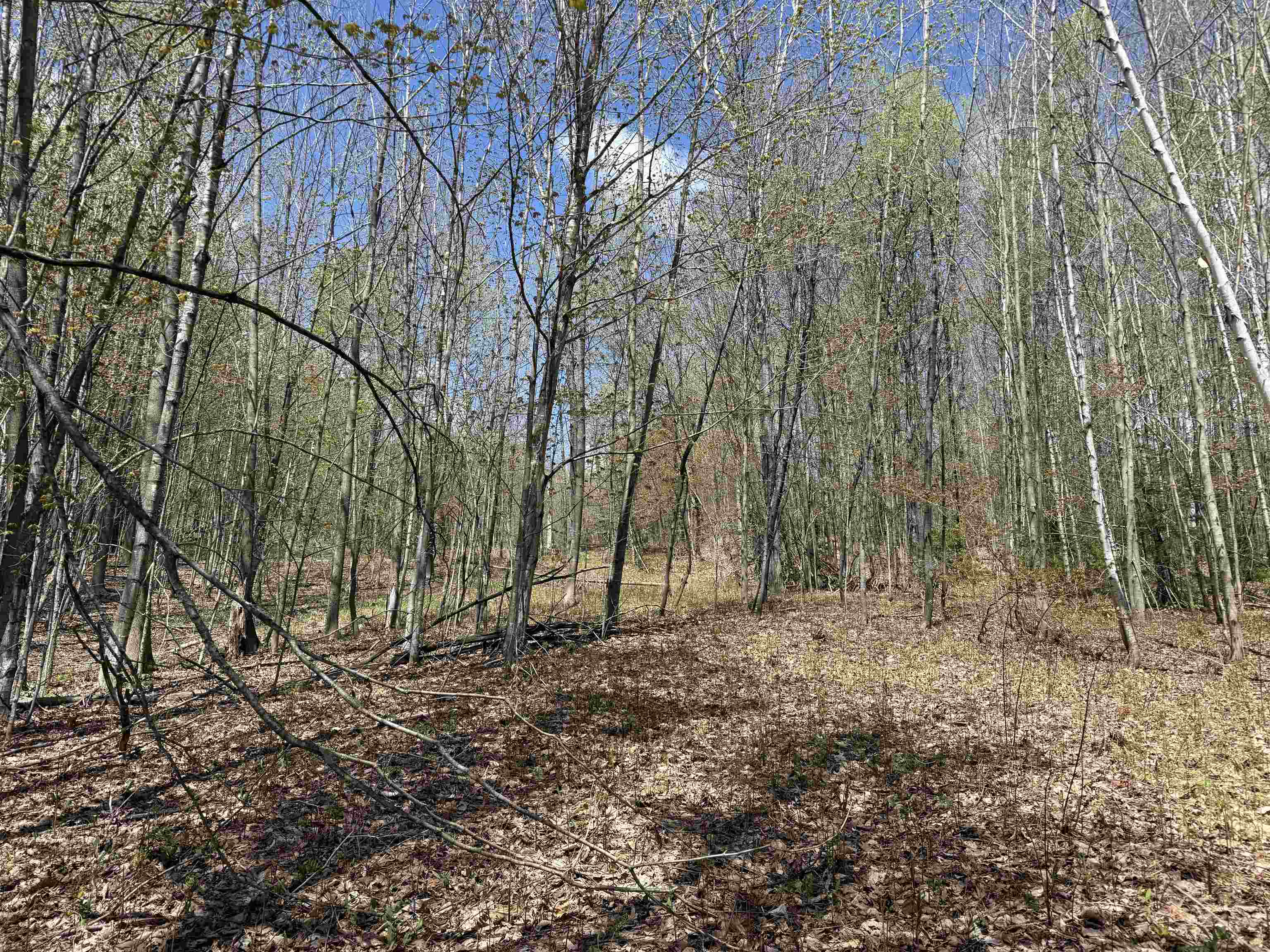 2527 Bent Hill Road Braintree, VT 05060 - Photo 7 of 11
