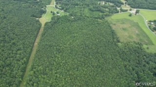 205 Loop Road Dillwyn, VA 23936 - Photo 8 of 18 a view of a yard with a plant