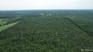205 Loop Road Dillwyn, VA 23936 - Photo 10 of 18 an aerial view of residential houses with outdoor space and trees