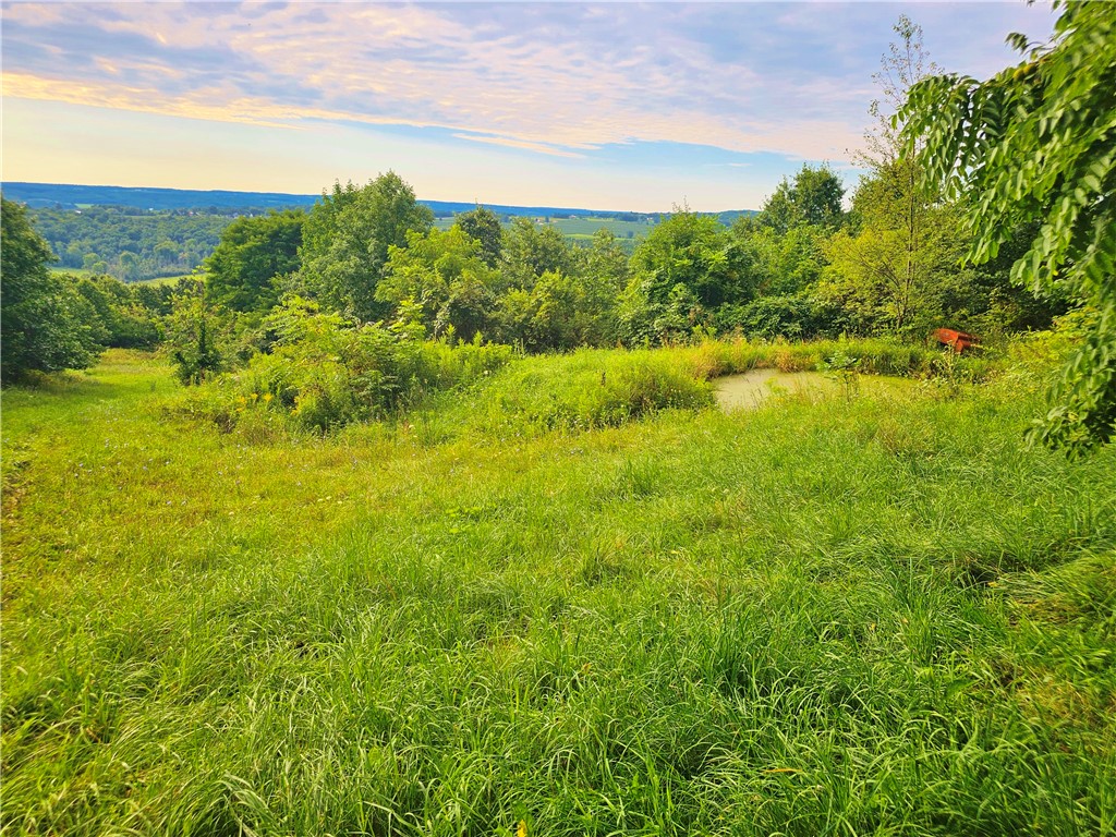 3256 State Route Keuka Park, NY 14478 - Photo 12 of 29 Gallery Image 12