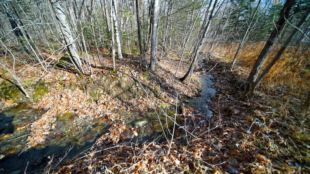 Lot 4.1 Lawlor Ridge Road Benedicta, ME 04733 - Photo 14 of 48 benedicta-lawlor-ridge-rd-1