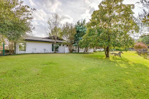 a view of a yard with an trees and plants