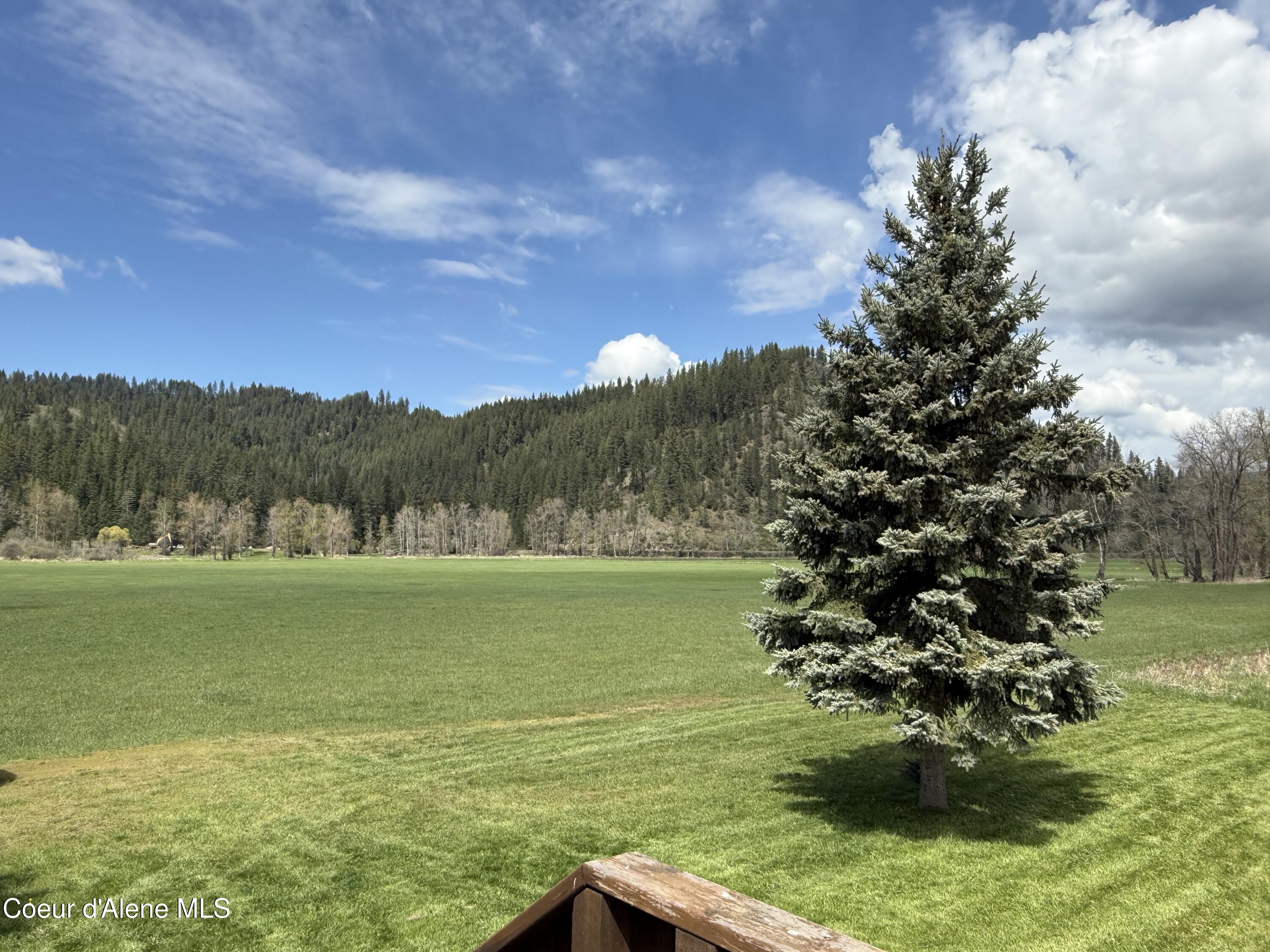 2353 St Maries River Road St. Maries, ID 83861 - Photo 3 of 18 IMG_4561