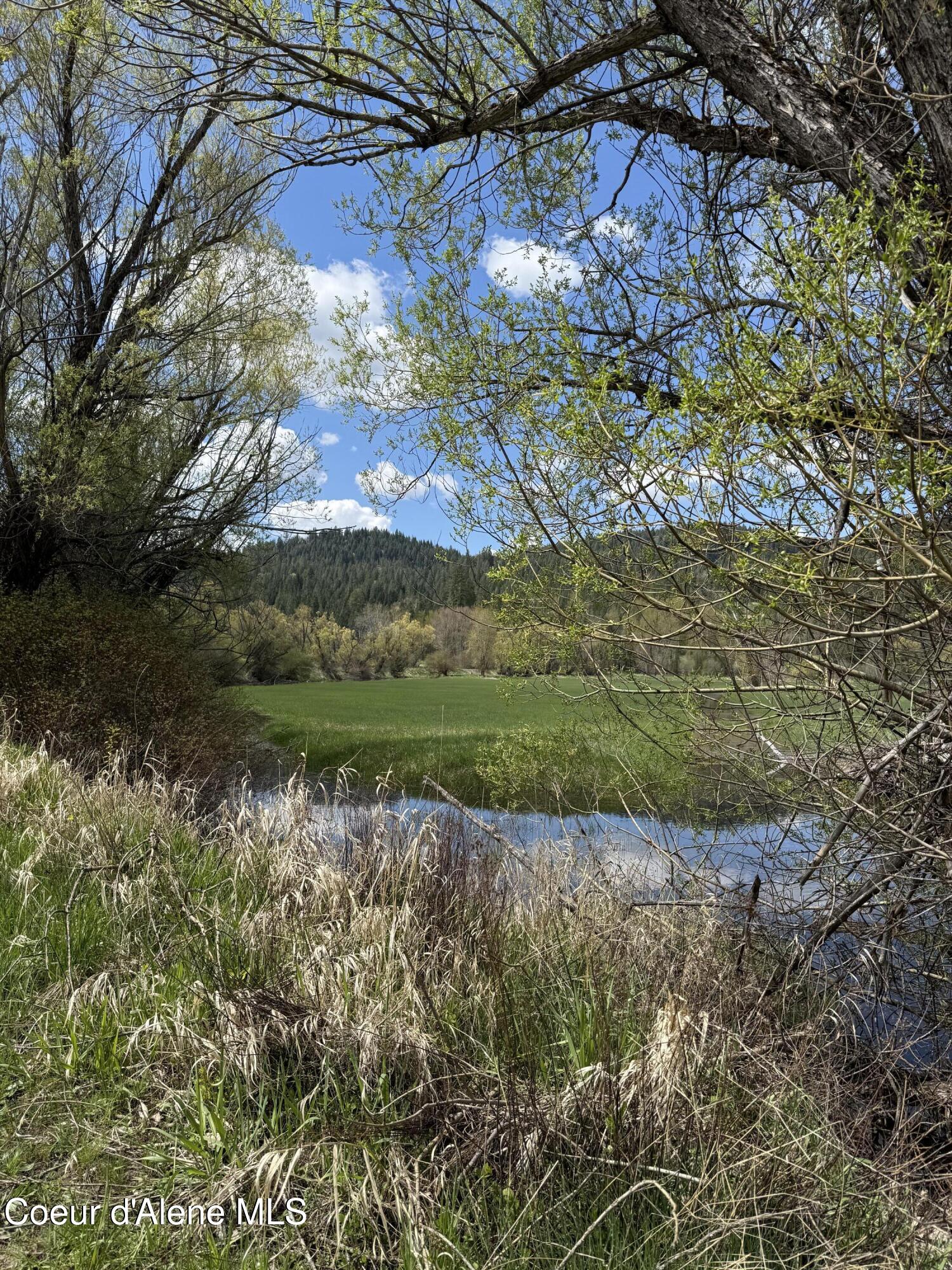 2353 St Maries River Road St. Maries, ID 83861 - Photo 5 of 18 IMG_4576