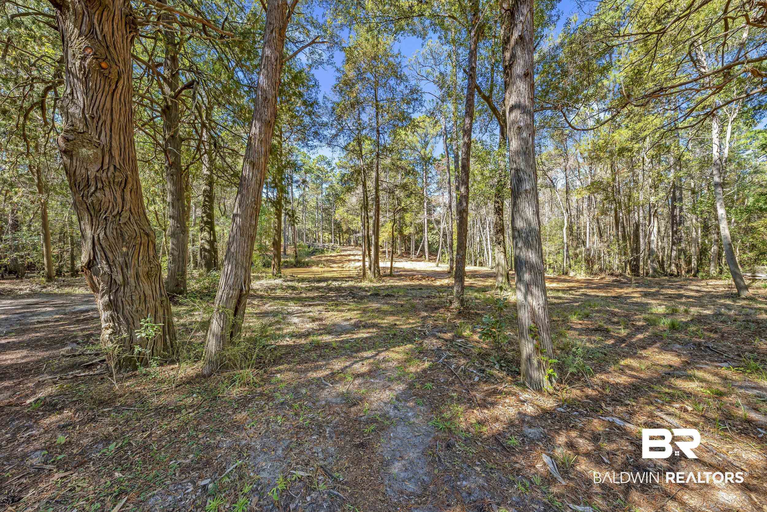 11010 Coleman Lane Elberta, AL 36530 - Photo 14 of 23