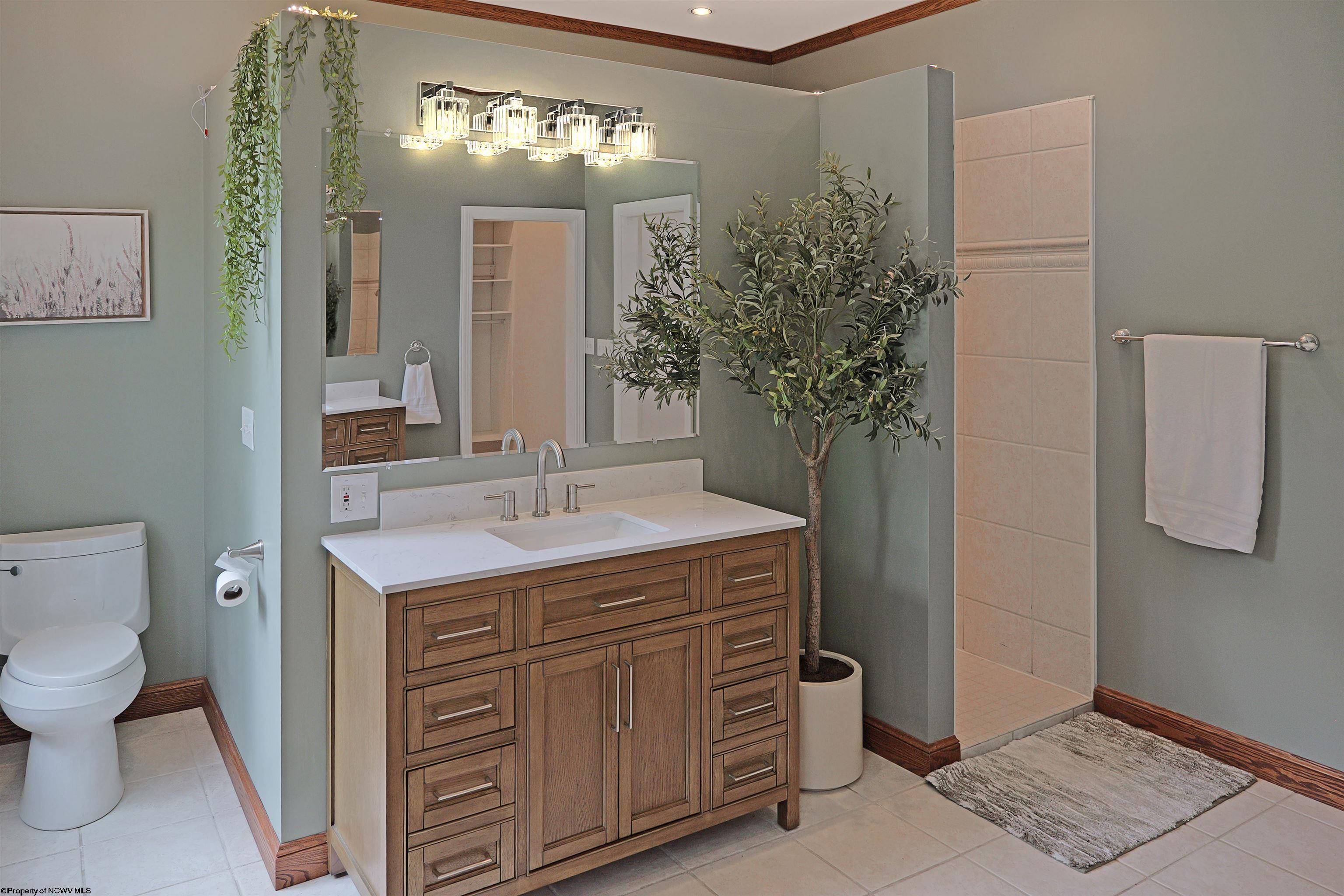 1412 St Joe Road Albright, WV 26519 - Photo 32 of 50 Gallery Image 32