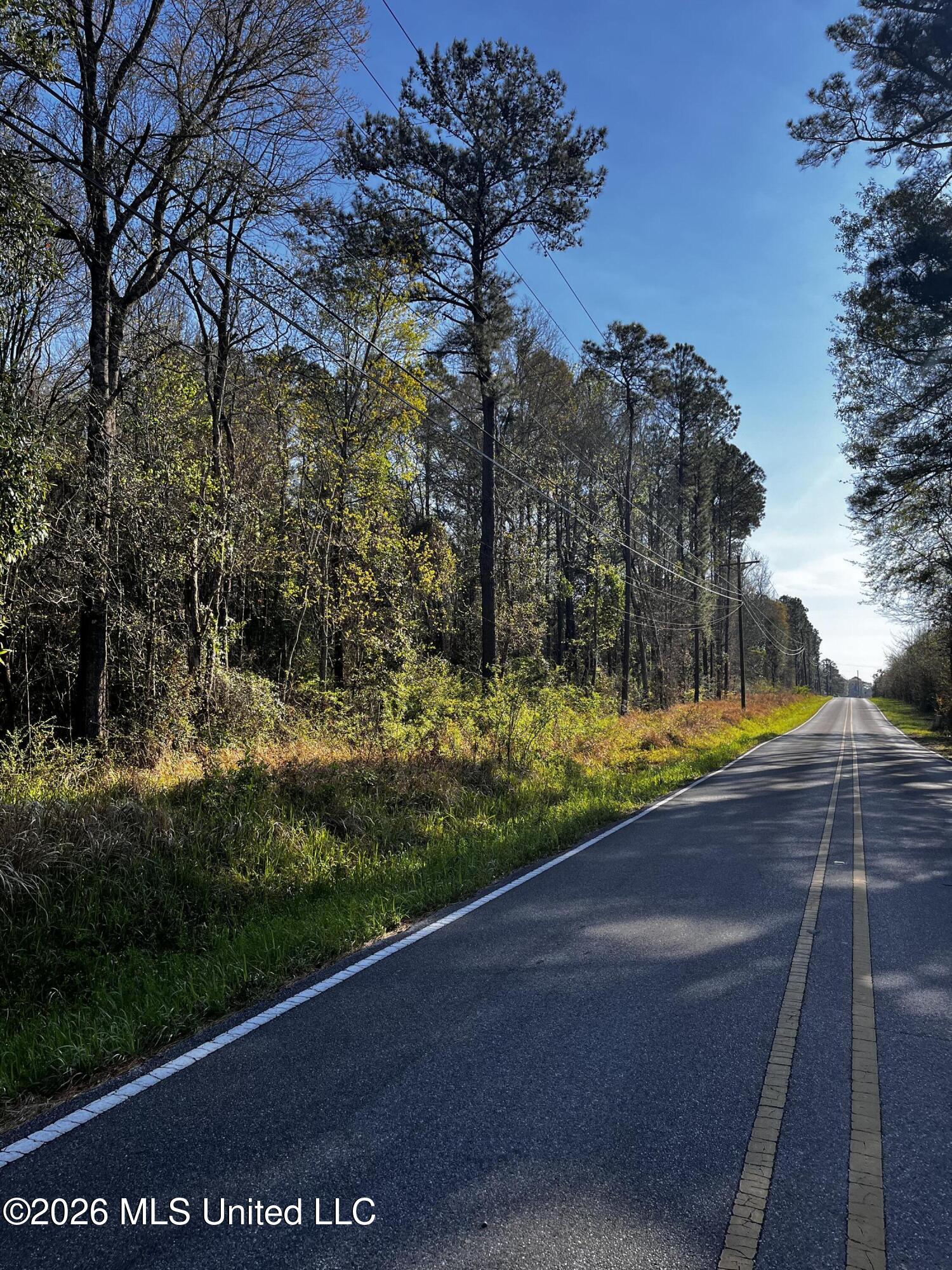 0 Gavin Hamilton Road Moss Point, MS 39562 - Photo 2 of 4 IMG_4907