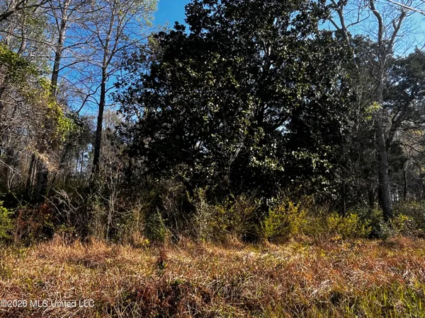 $414,800 | 0 Gavin Hamilton Road, Moss Point, MS 39562