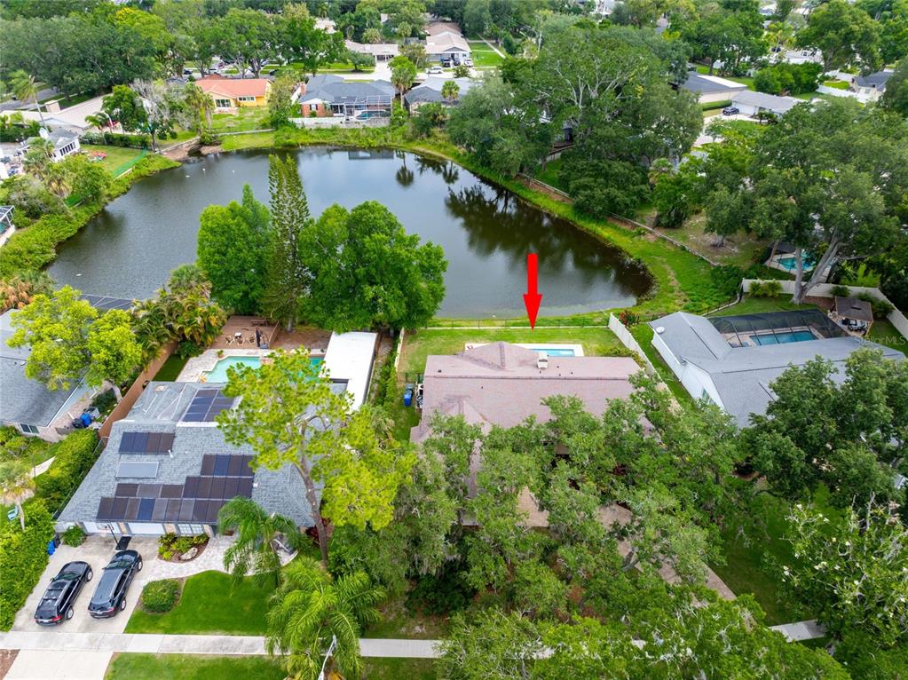 3605 Schefflera Road Tampa, FL 33618 - Photo 38 of 49