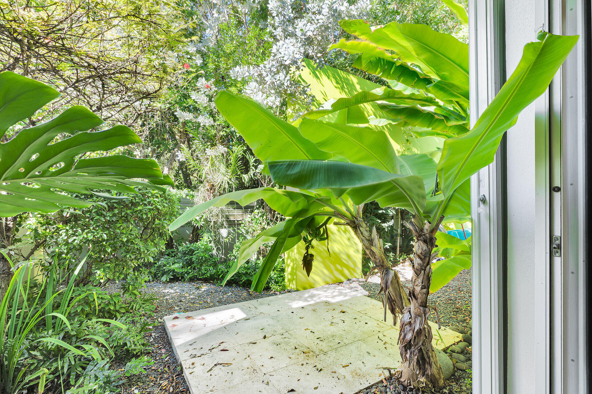 1501 Georgia Street Key West, FL 33040 - Photo 44 of 50 a view of a garden