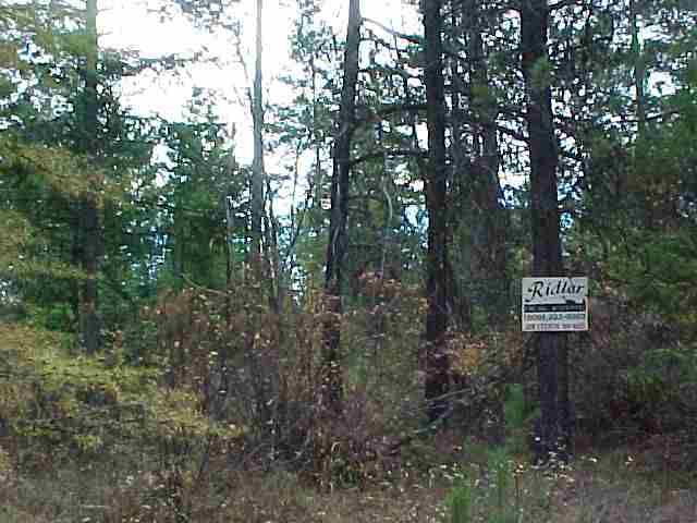 N/a N/a Hunters/springdale Road Springdale, WA 99173 - Photo 3 of 6