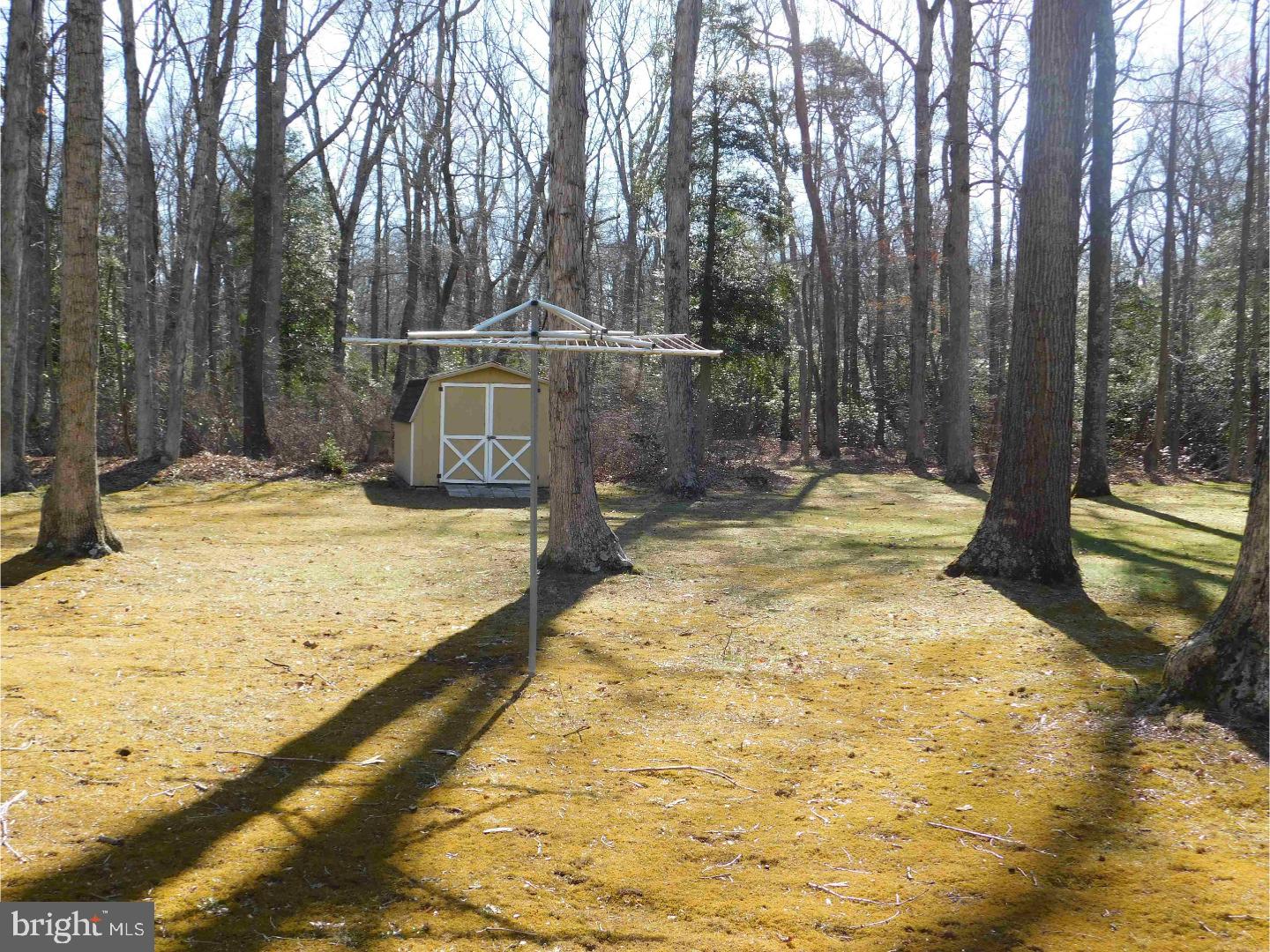 646 Buck Road Pittsgrove, NJ 08318 - Photo 3 of 13 Storage Shed