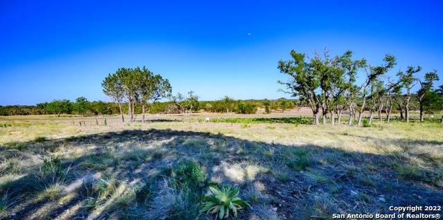 264 Seep Springs Drive Center Point, TX 78010 - Photo 2 of 12