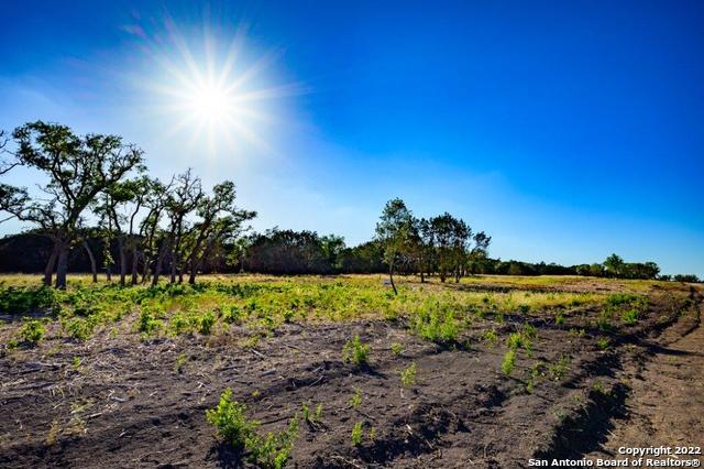 264 Seep Springs Drive Center Point, TX 78010 - Photo 3 of 12