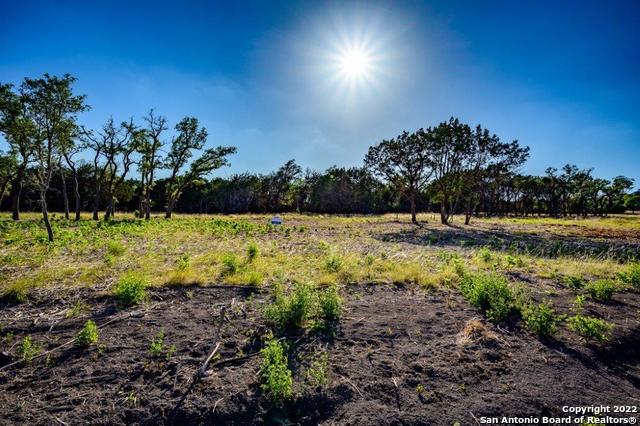 264 Seep Springs Drive Center Point, TX 78010 - Photo 4 of 12