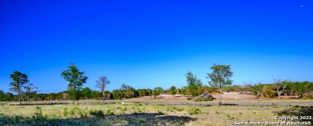 264 Seep Springs Drive Center Point, TX 78010 - Photo 6 of 12