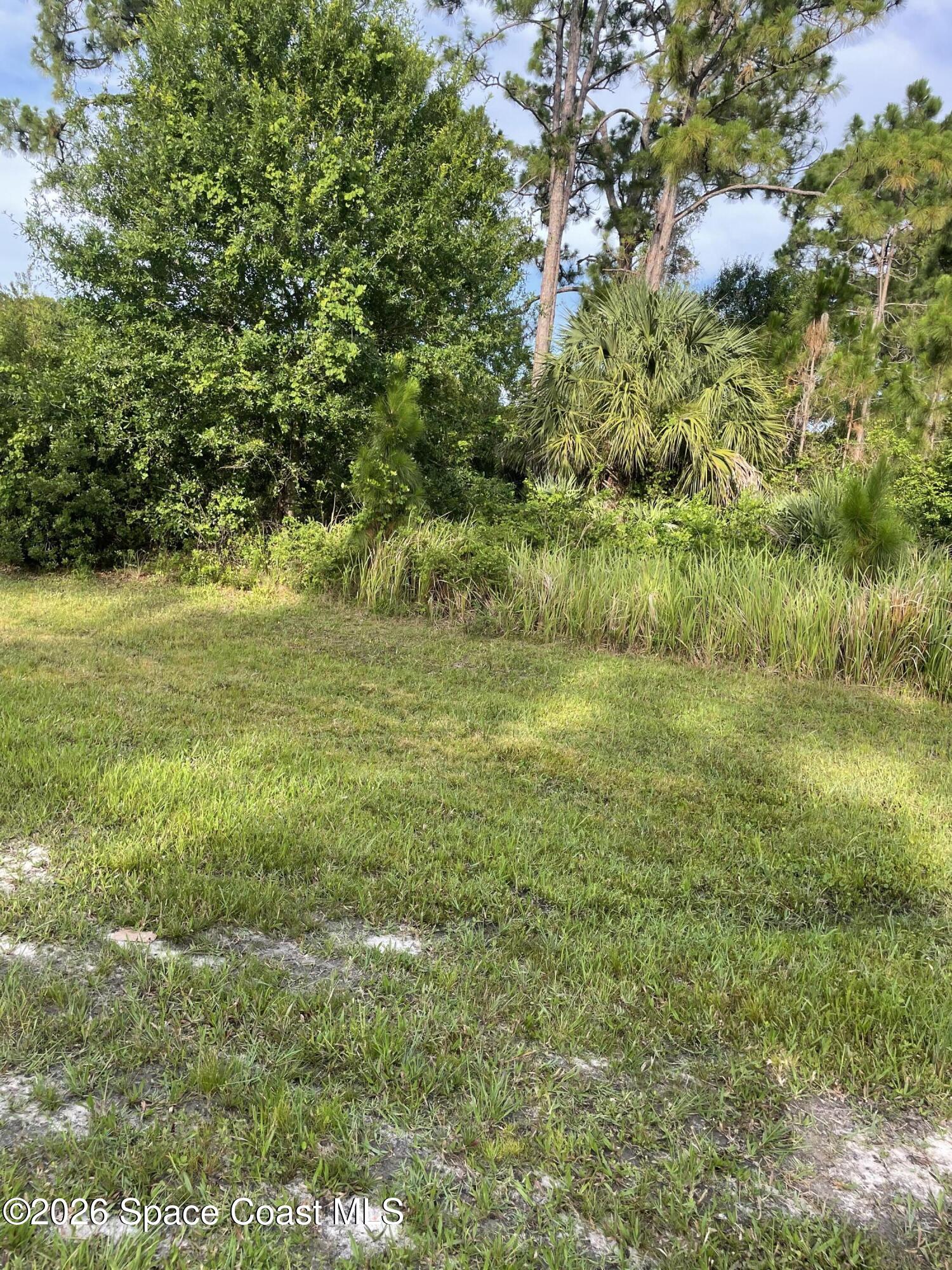 0 Unknown Boulevard Palm Bay, FL 32905 - Photo 8 of 8 a view of a field with an trees