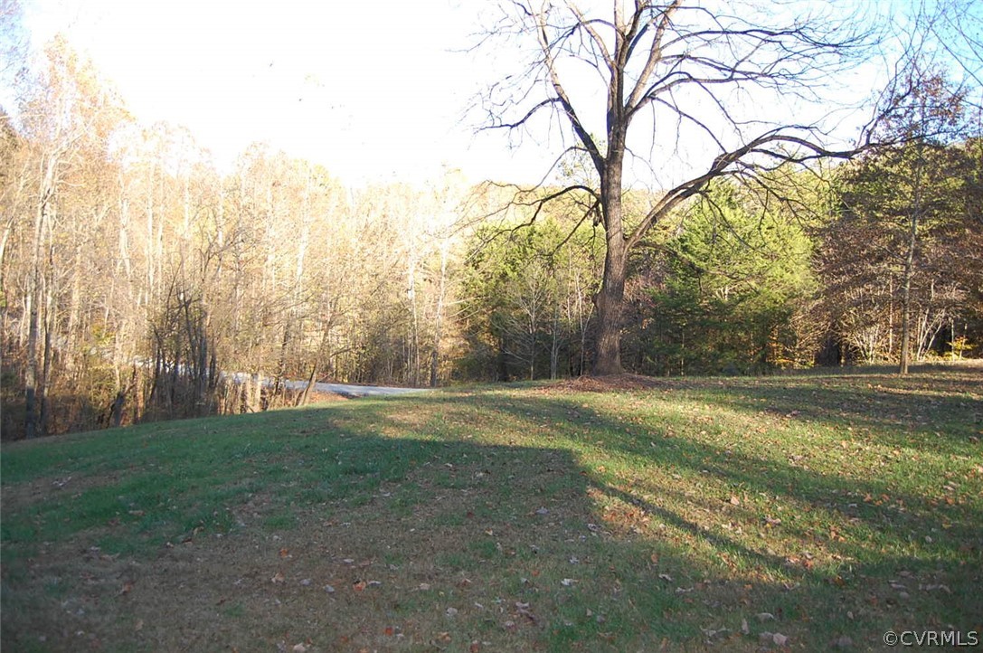 312 Sunset Ridge Drive Farmville, VA 23901 - Photo 5 of 25 a view of a yard with large trees