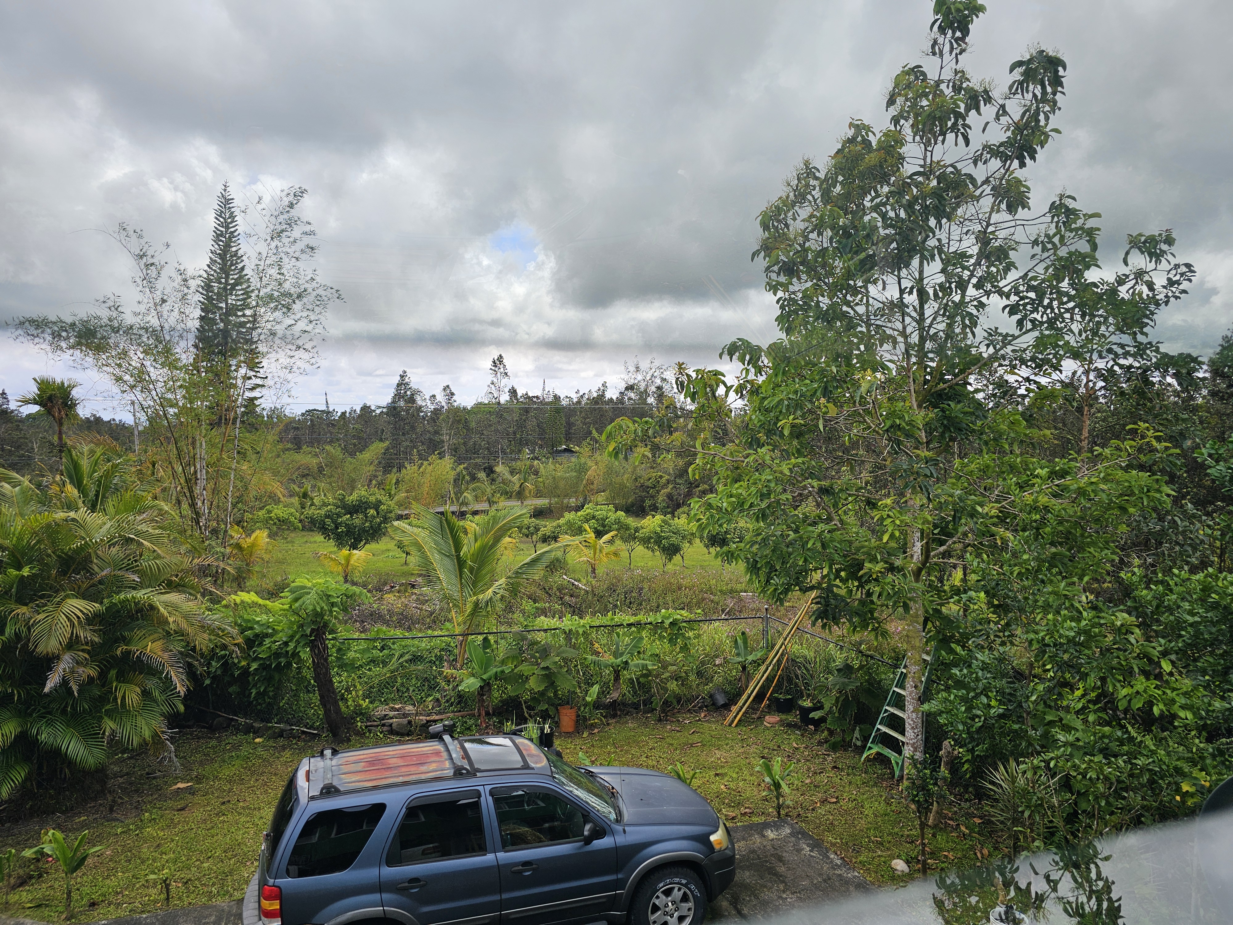 16-1754 Uhini Ana Road Mountain View, HI 96771 - Photo 4 of 30