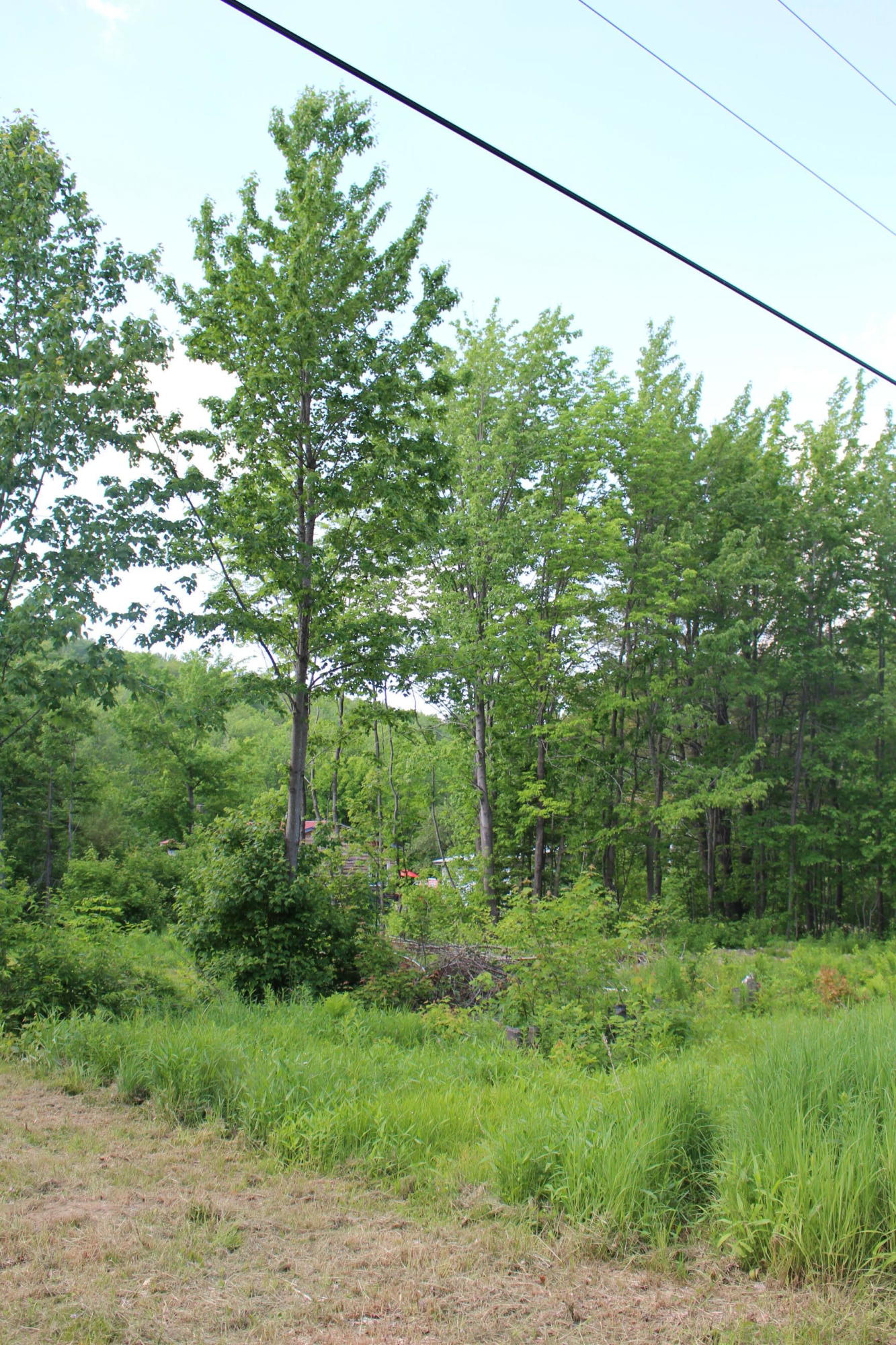 873 Dickvale Road Peru, ME 04290 - Photo 8 of 17 IMG_6108