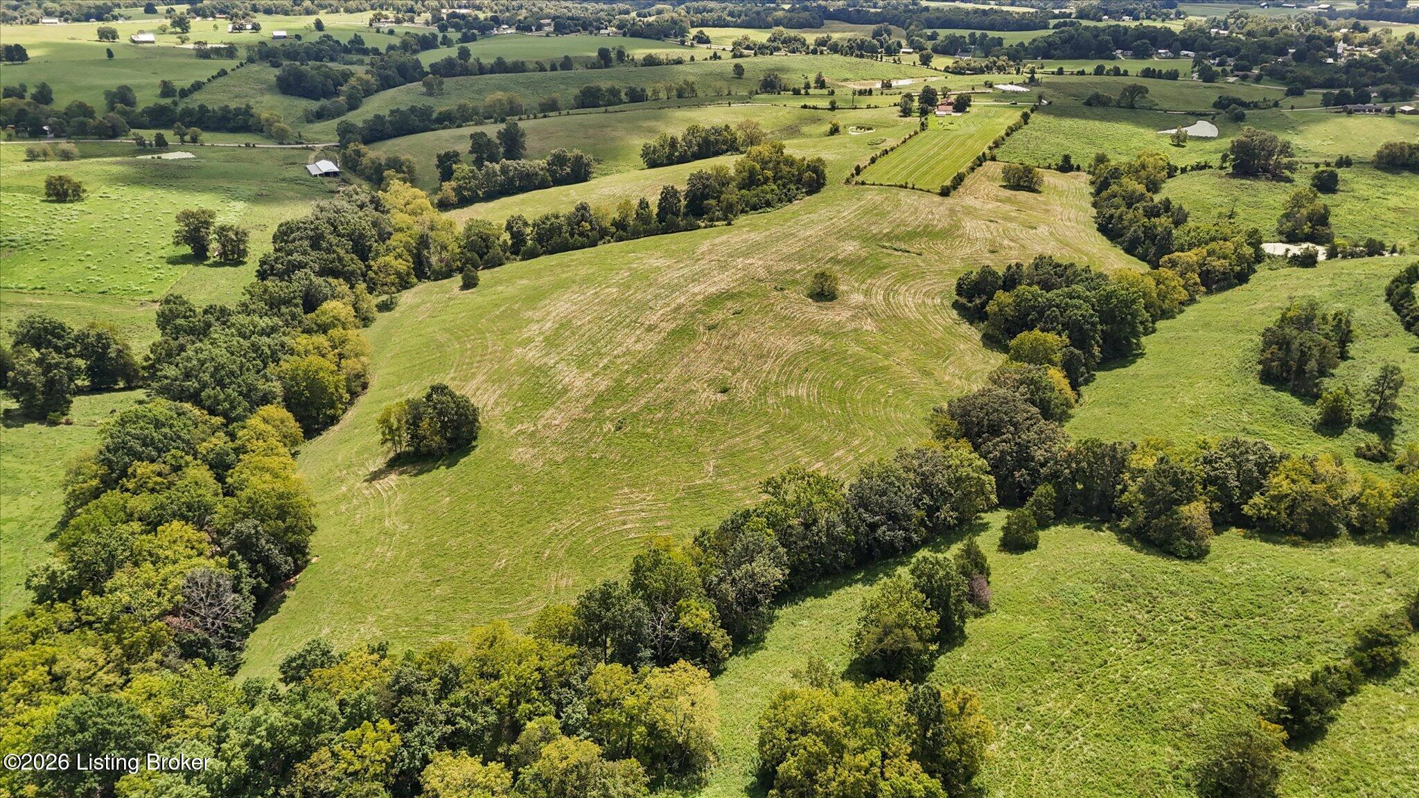 239 Sewell Road Bethlehem, KY 40007 - Photo 14 of 37 07-DJI_20260821130238_0829_D