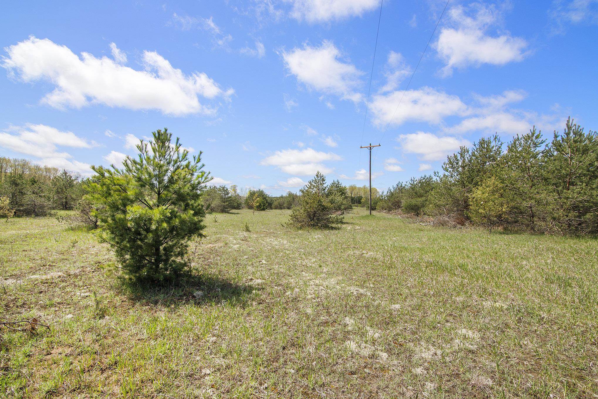 2 North 9th Road Mesick, MI 49668 - Photo 5 of 9