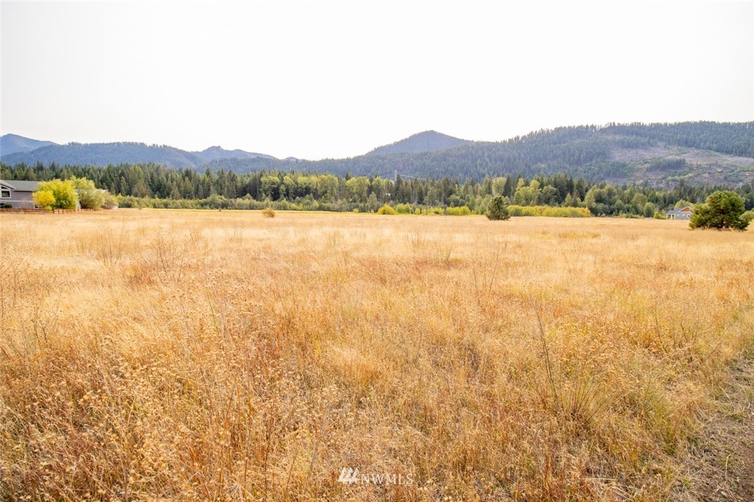 F2 Old Cedars Road Cle Elum, WA 98922 - Photo 4 of 23