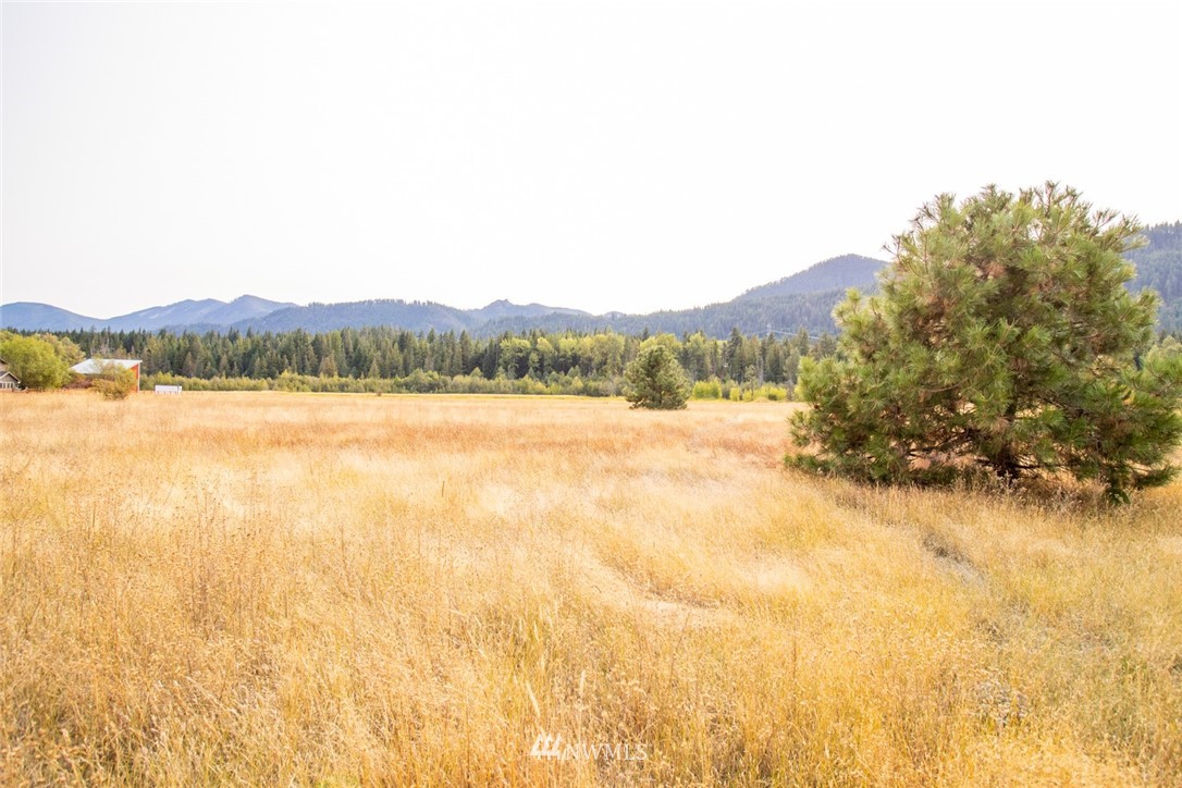 F2 Old Cedars Road Cle Elum, WA 98922 - Photo 5 of 23