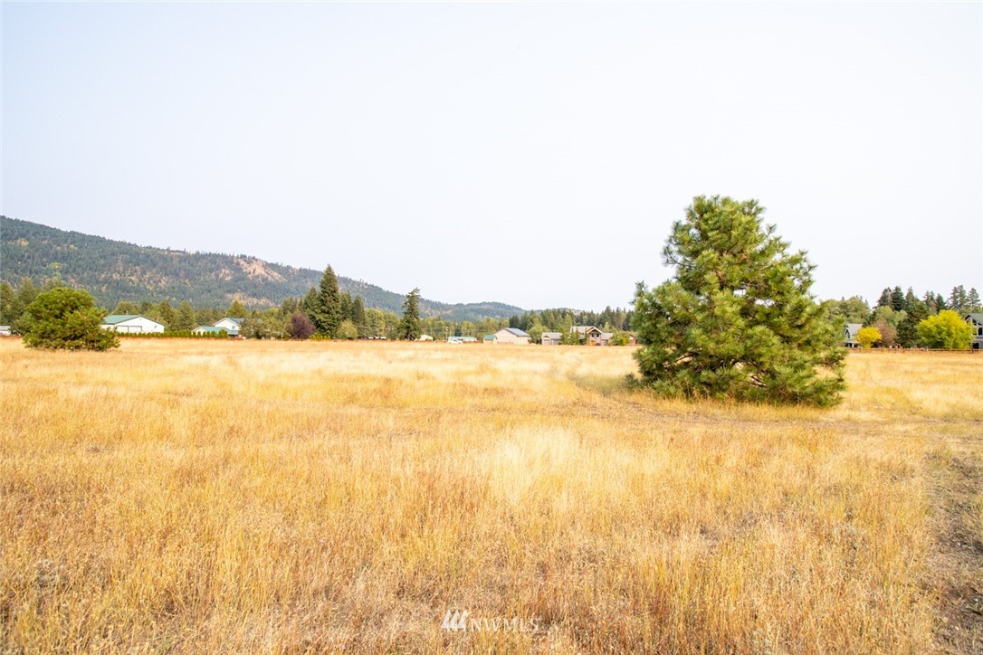 F2 Old Cedars Road Cle Elum, WA 98922 - Photo 7 of 23