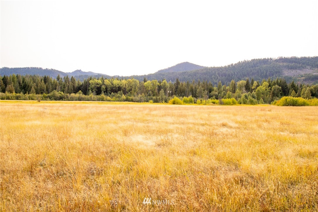 F2 Old Cedars Road Cle Elum, WA 98922 - Photo 9 of 23