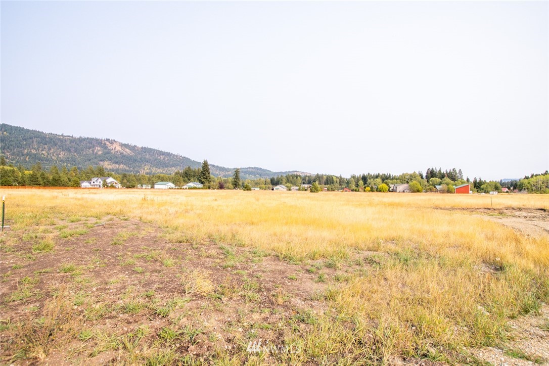 F2 Old Cedars Road Cle Elum, WA 98922 - Photo 10 of 23