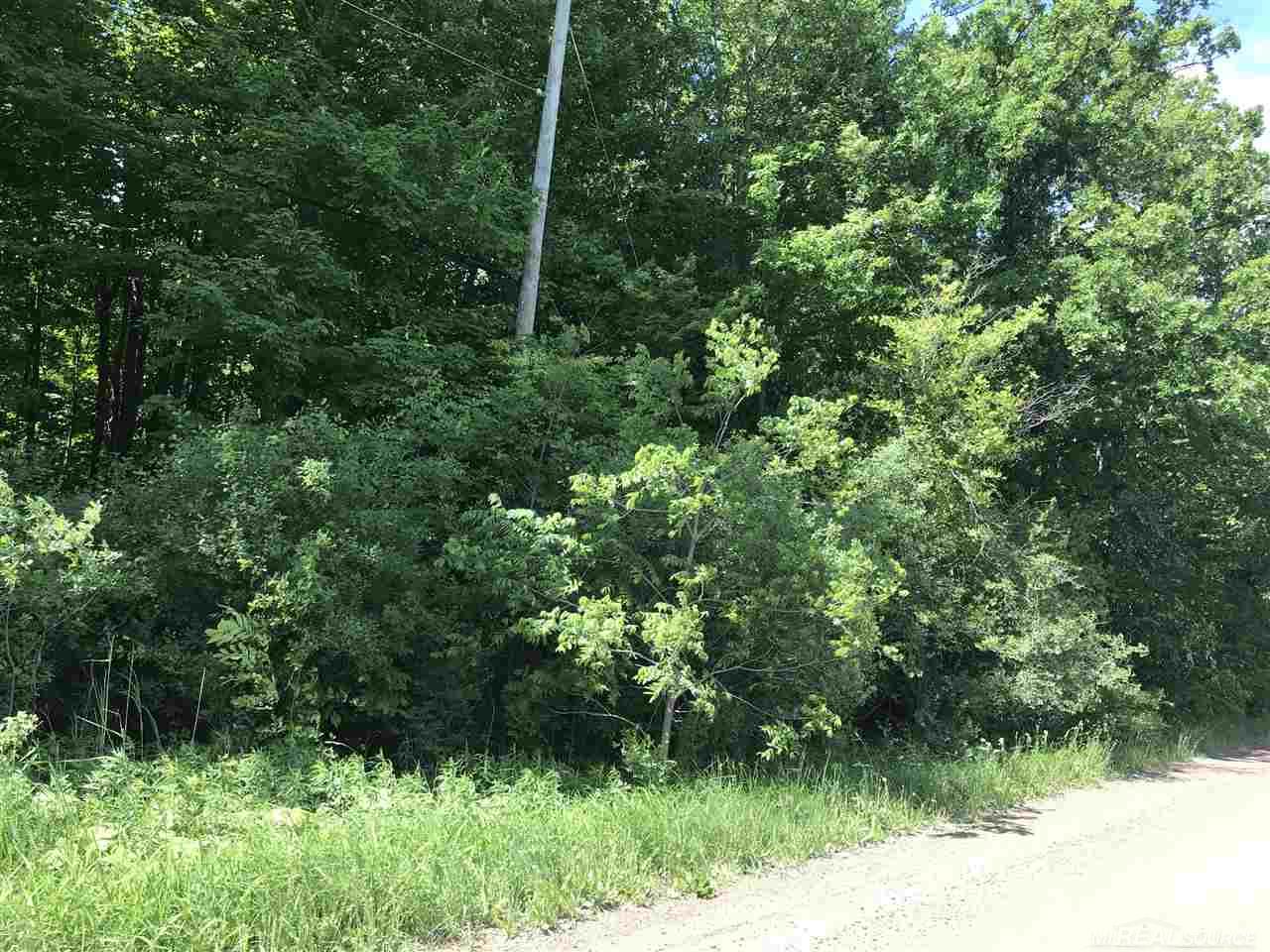 0 Hobarth Road New Baltimore, MI 48047 - Photo 2 of 4