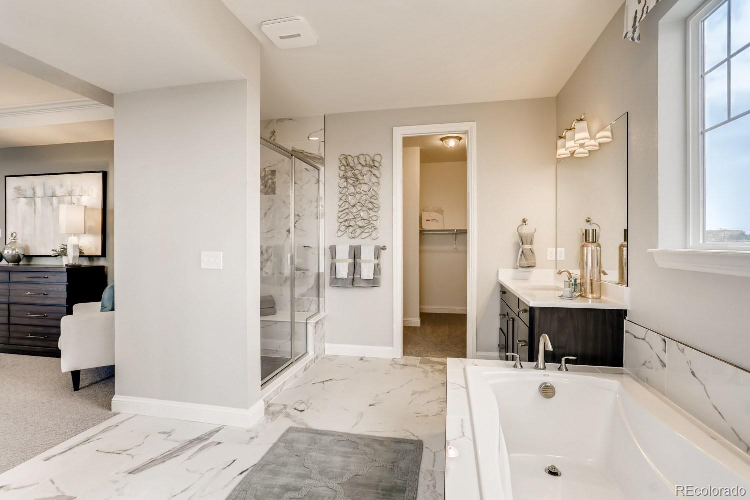 3008 Blithe Point Castle Rock, CO 80108 - Photo 17 of 29 a bathroom with a tub a sink and mirror