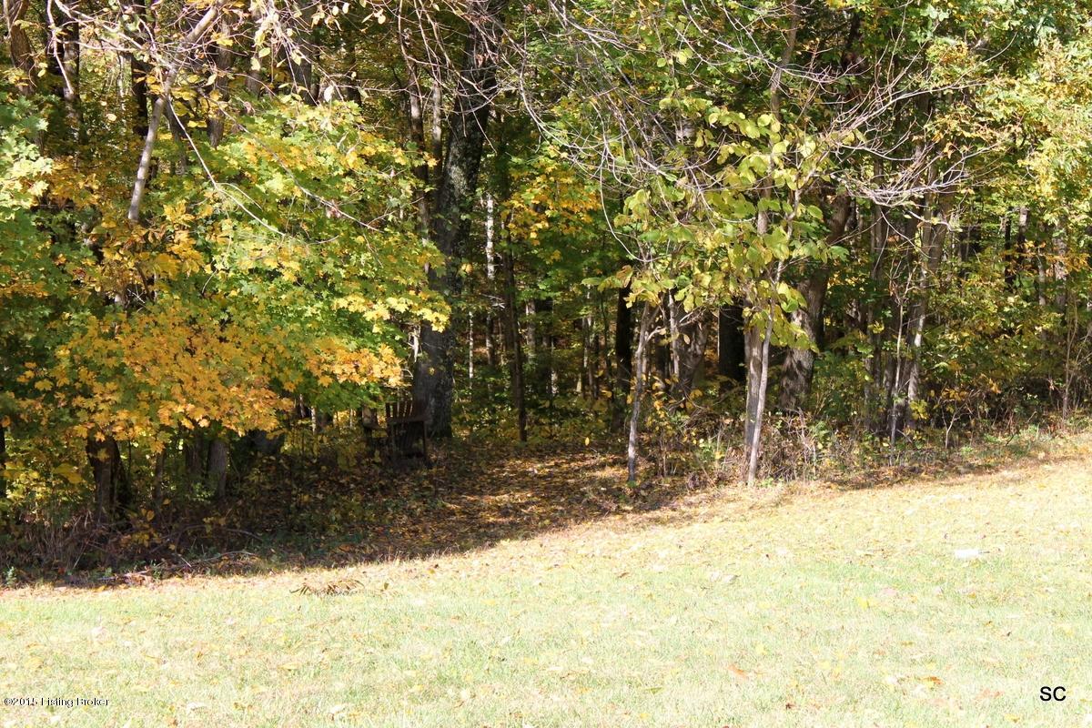 214 Owl Ridge Road Shelbyville, KY 40065 - Photo 27 of 38 walking trails