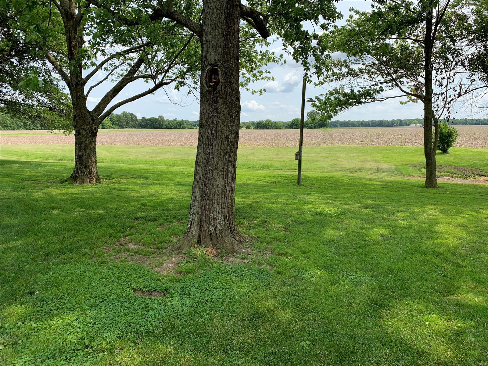 708 Walnut Hill Road Centralia, IL 62801 - Photo 4 of 41 Gallery Image 4