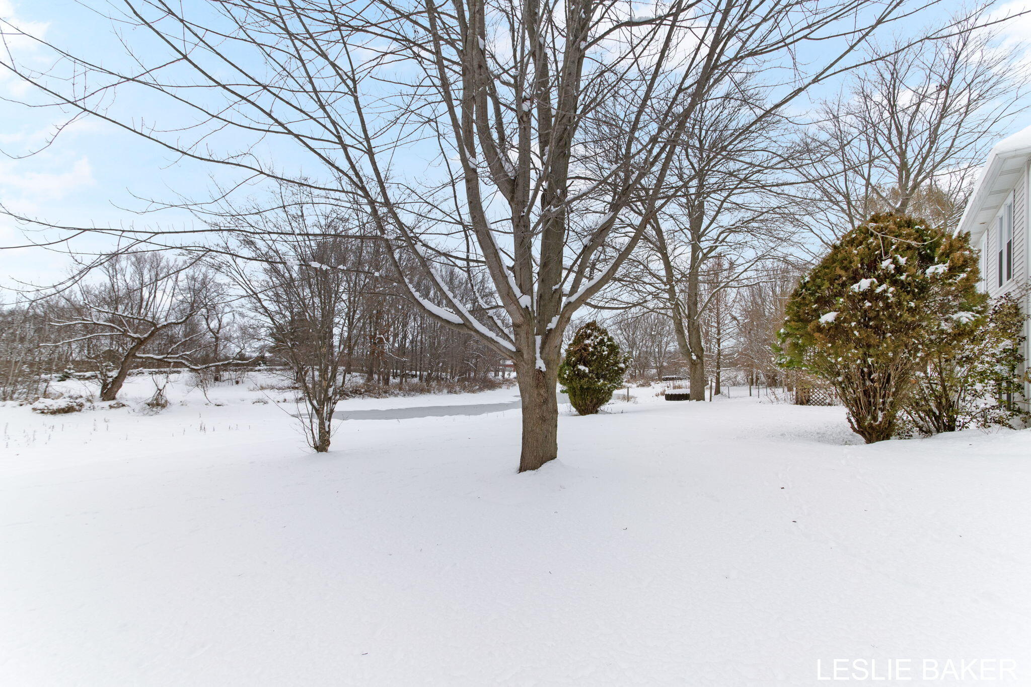 3534 41st Street Hamilton, MI 49419 - Photo 48 of 61 6-web-or-mls-3534-41st-st