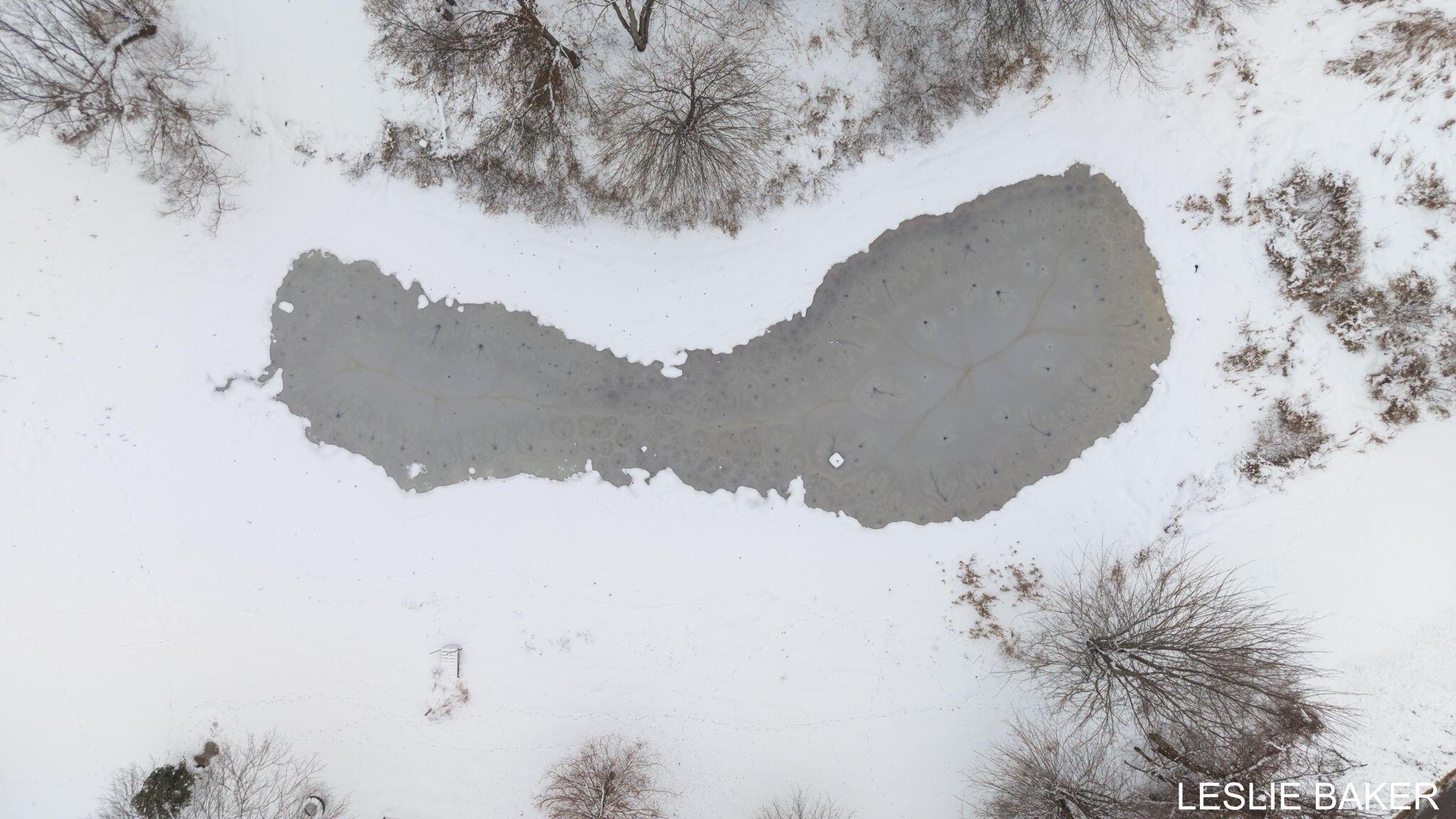 3534 41st Street Hamilton, MI 49419 - Photo 57 of 61 23-web-or-mls-3534-41st-st