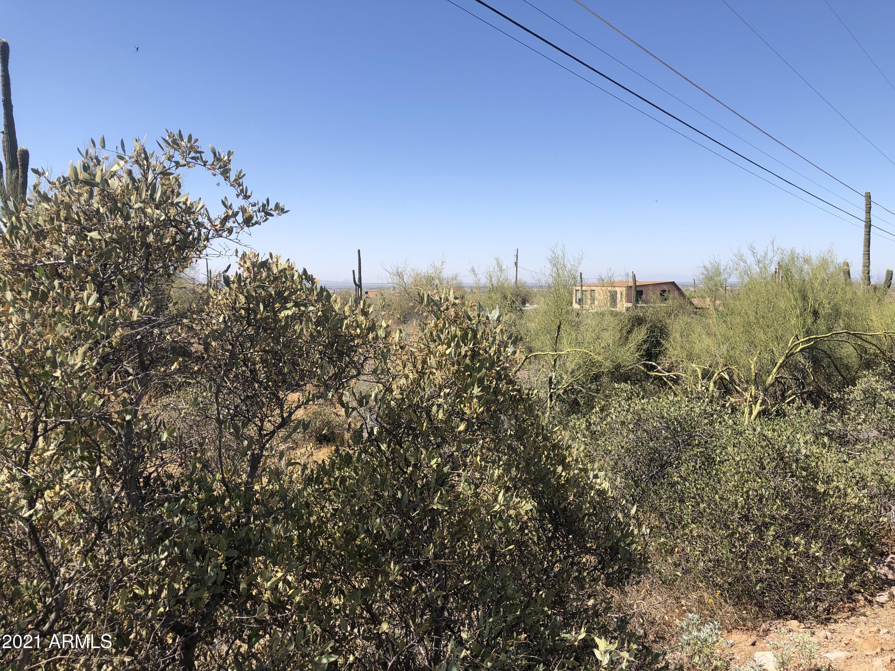 3344 North Morningside Road Apache Junction, AZ 85119 - Photo 3 of 7 IMG_4813