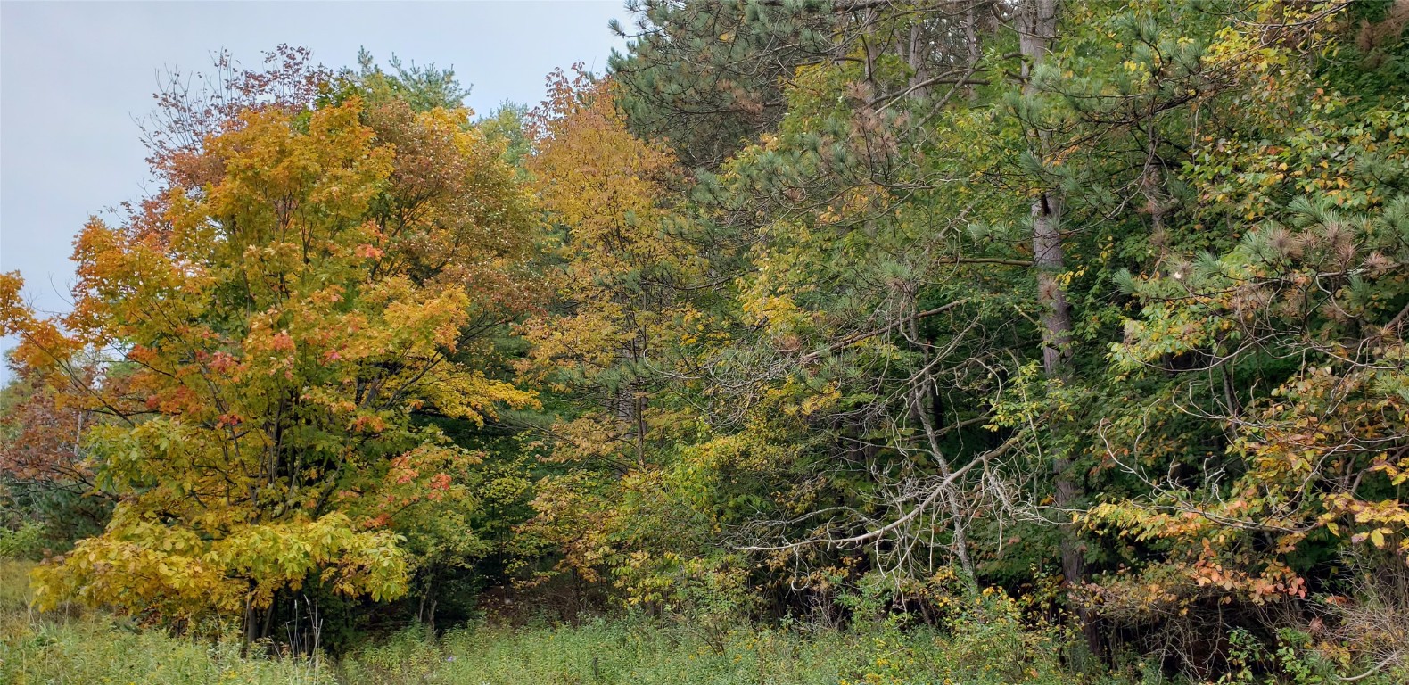 0 Oxbow Road Afton, NY 13730 - Photo 11 of 11