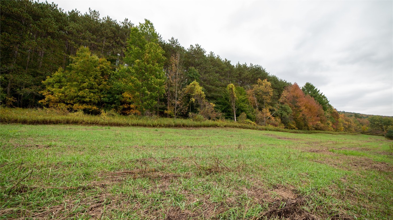 0 Oxbow Road Afton, NY 13730 - Photo 3 of 11