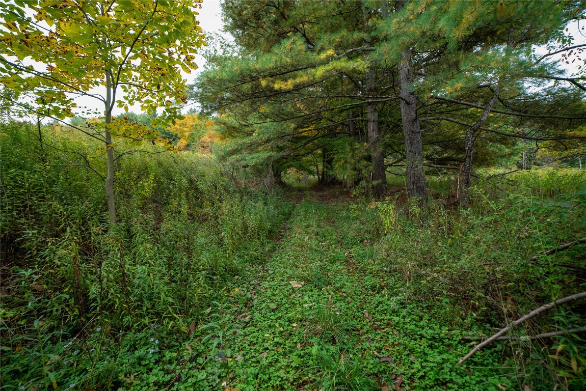 0 Oxbow Road Afton, NY 13730 - Photo 4 of 11