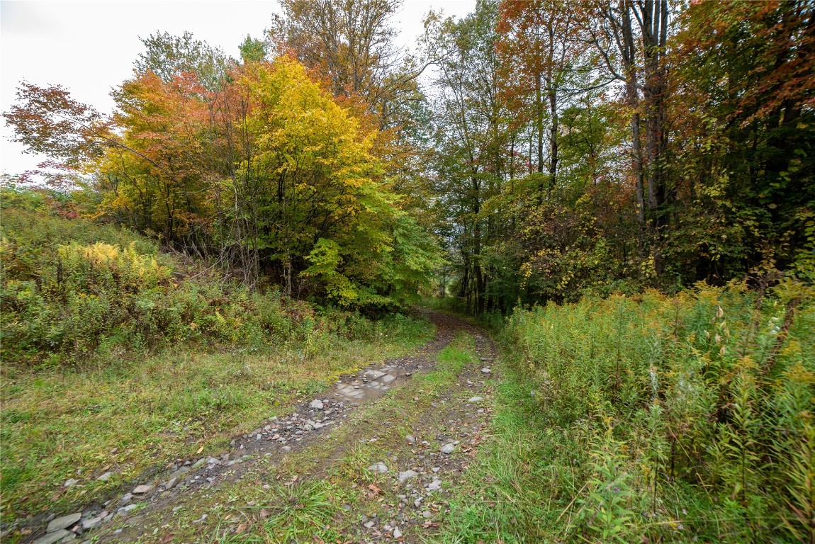 0 Oxbow Road Afton, NY 13730 - Photo 6 of 11